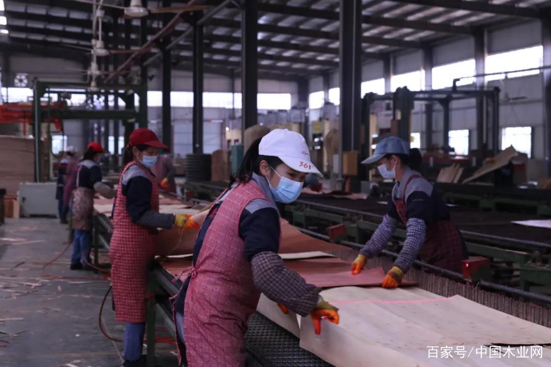 扶绥县木业家居产业集聚区防疫与发展两不误